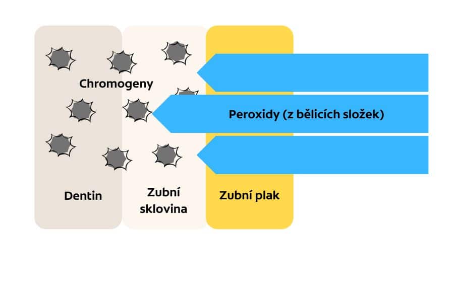 schéma procesu bělení zubů