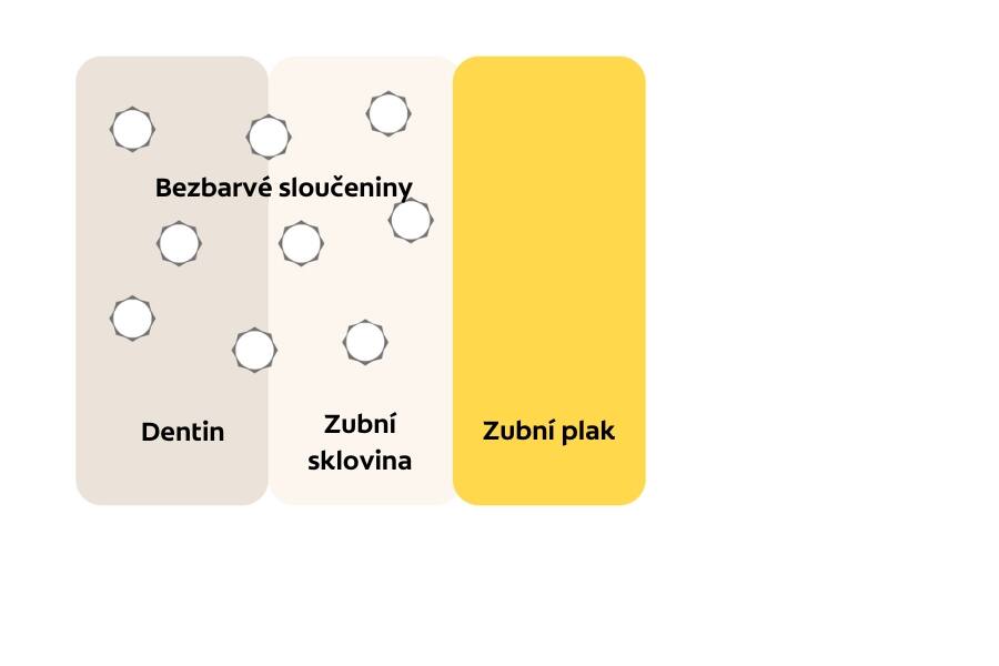 schéma vyběleného zubu