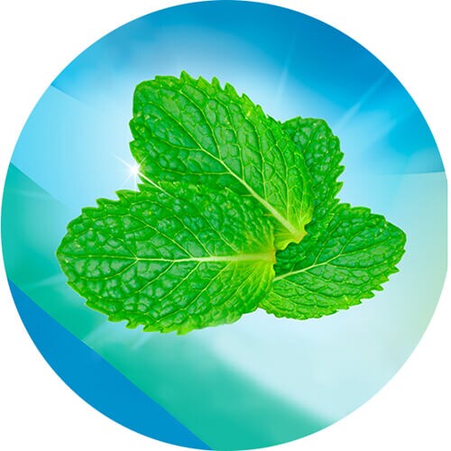 Colgate® Triple Action 
zubní pasta 75 ml